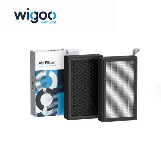 Wigoo Cabin HEPA Air Filter for Tesla Model Y/3